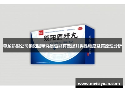 尊龙凯时公司锁阳固精丸是否能有效提升男性硬度及其原理分析
