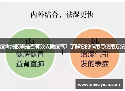 湿毒清胶囊是否有效去除湿气？了解它的作用与使用方法